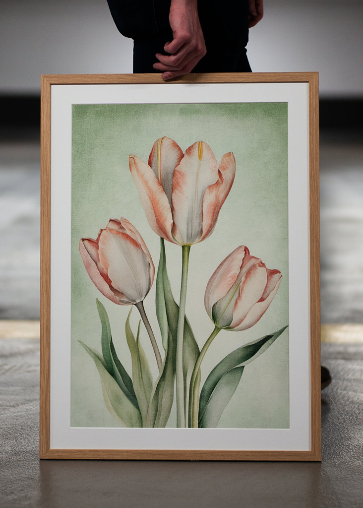 Tulips