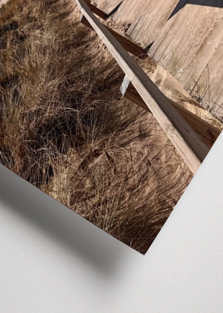 Trappor till stranden