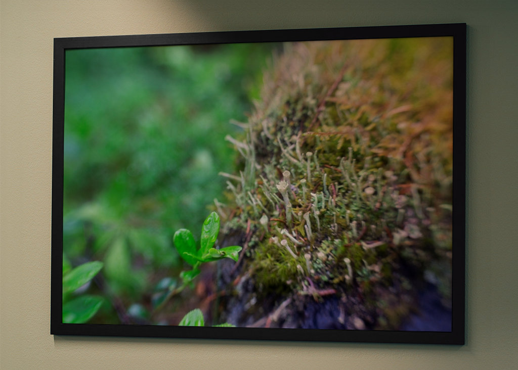 Sammalta kalliolla mökin ulkopuolella