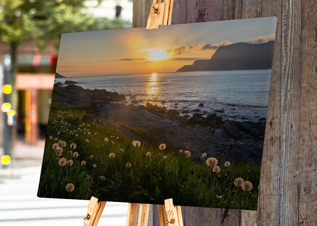 Hoddevika flowers in sunset