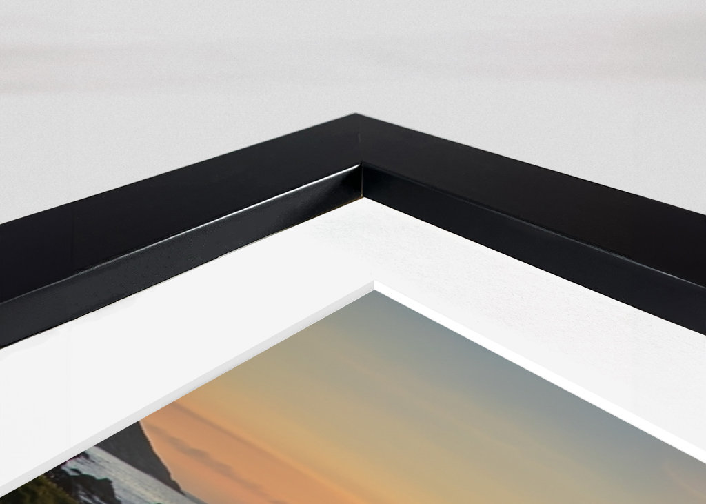 Hoddevika flowers in sunset