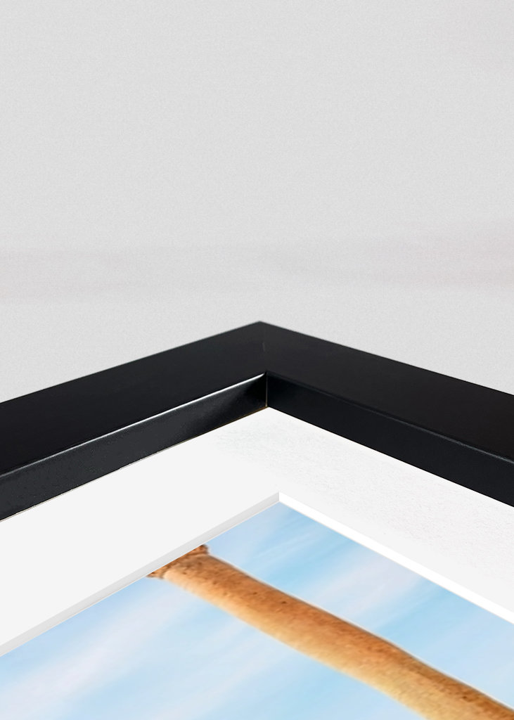 Palm Springs Paradis