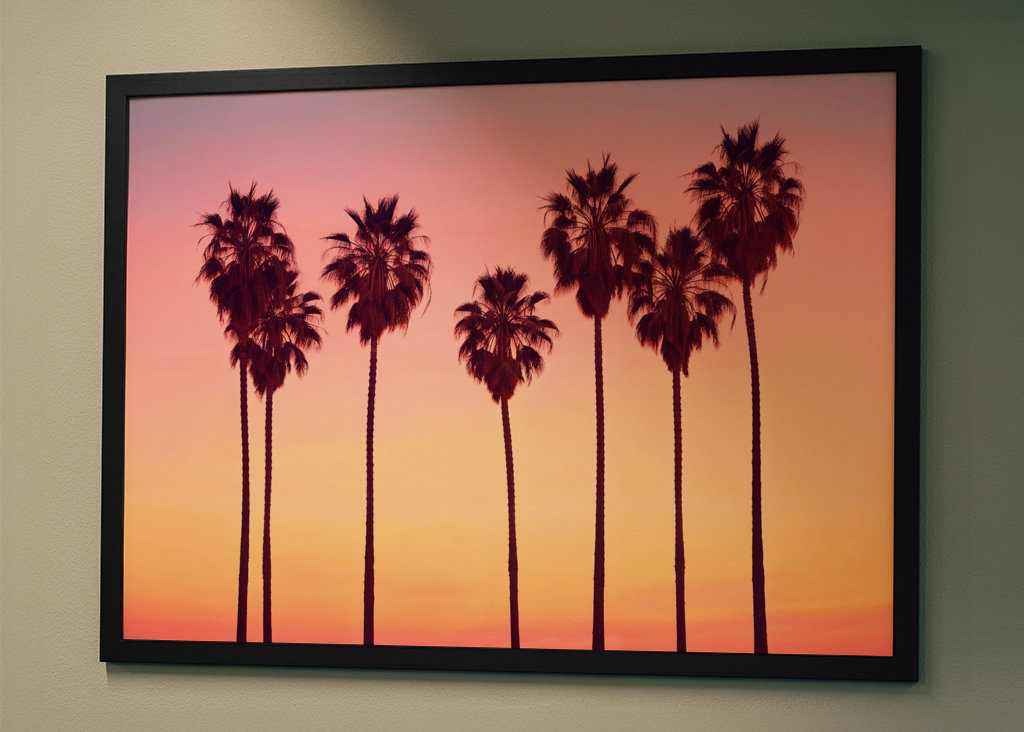 Palmy při západu slunce v Malibu