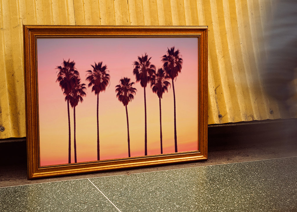 Palmy při západu slunce v Malibu