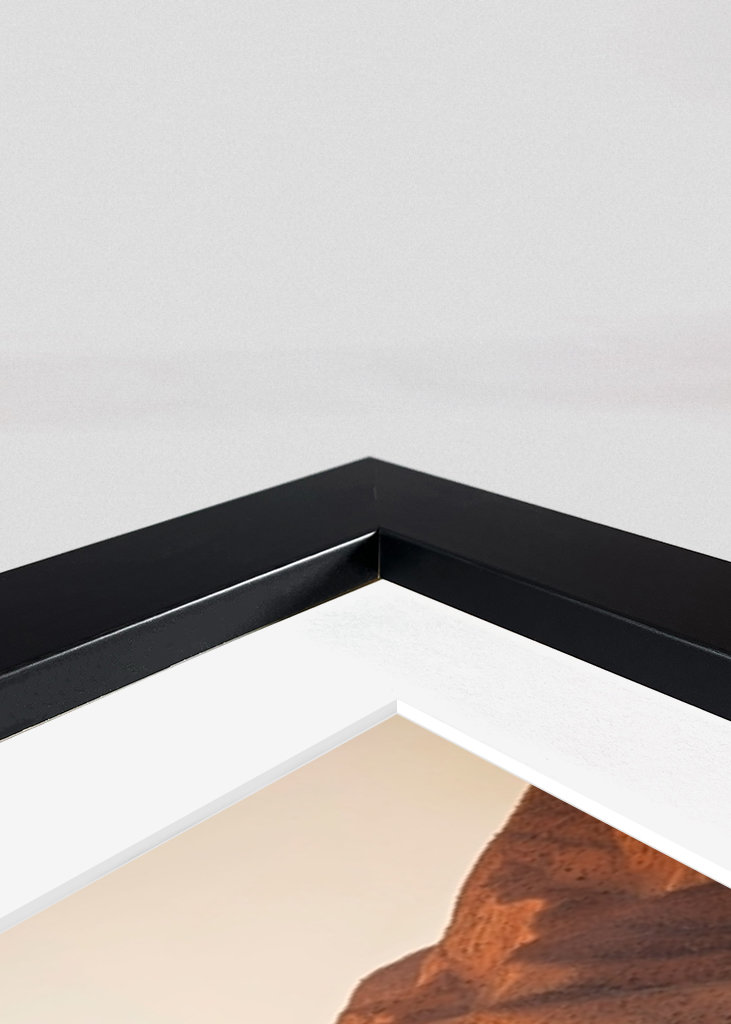 Solnedgang i midten af århundredet