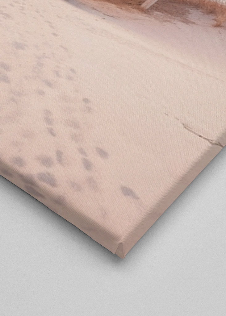 Plage du coucher de soleil du Pacifique