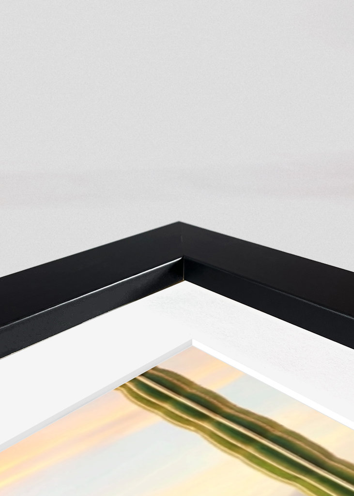 Slutningen af dagen i Palm Springs