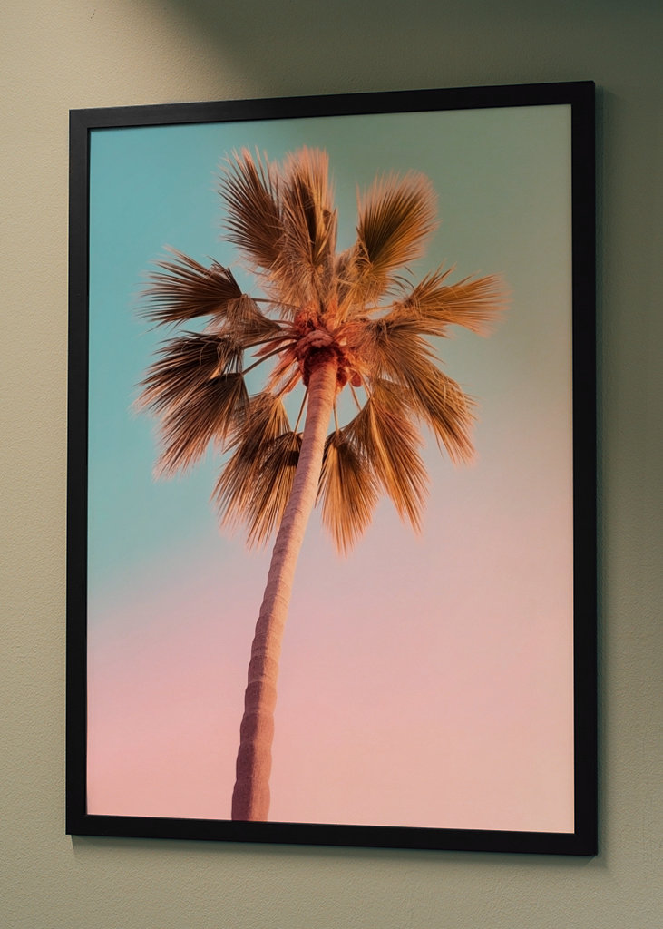 Palmier d’Hollywood