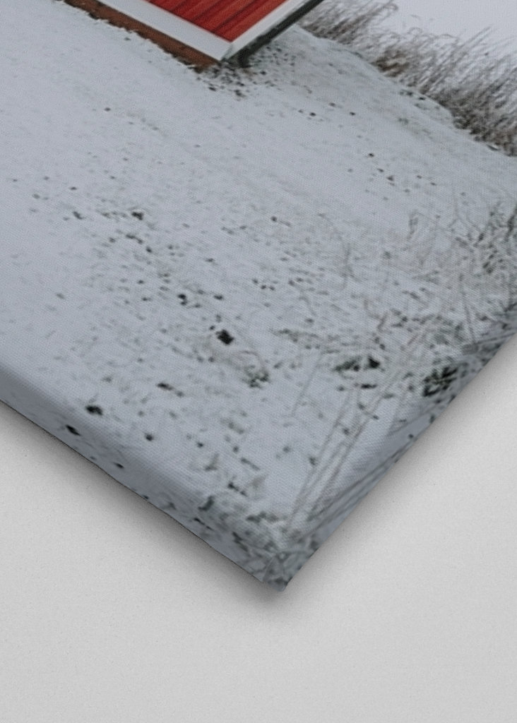 Červená loděnice v zimní krajině