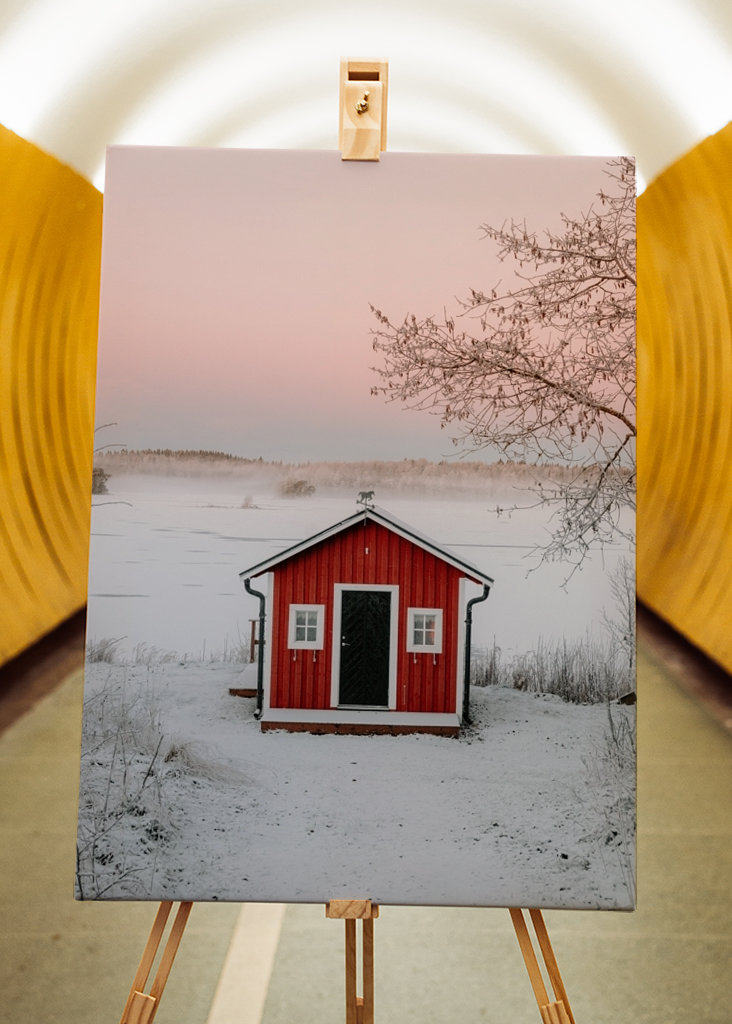 Červená loděnice v zimní krajině