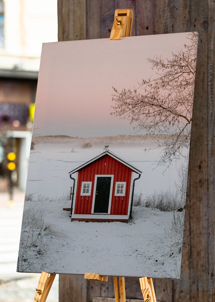 Červená loděnice v zimní krajině