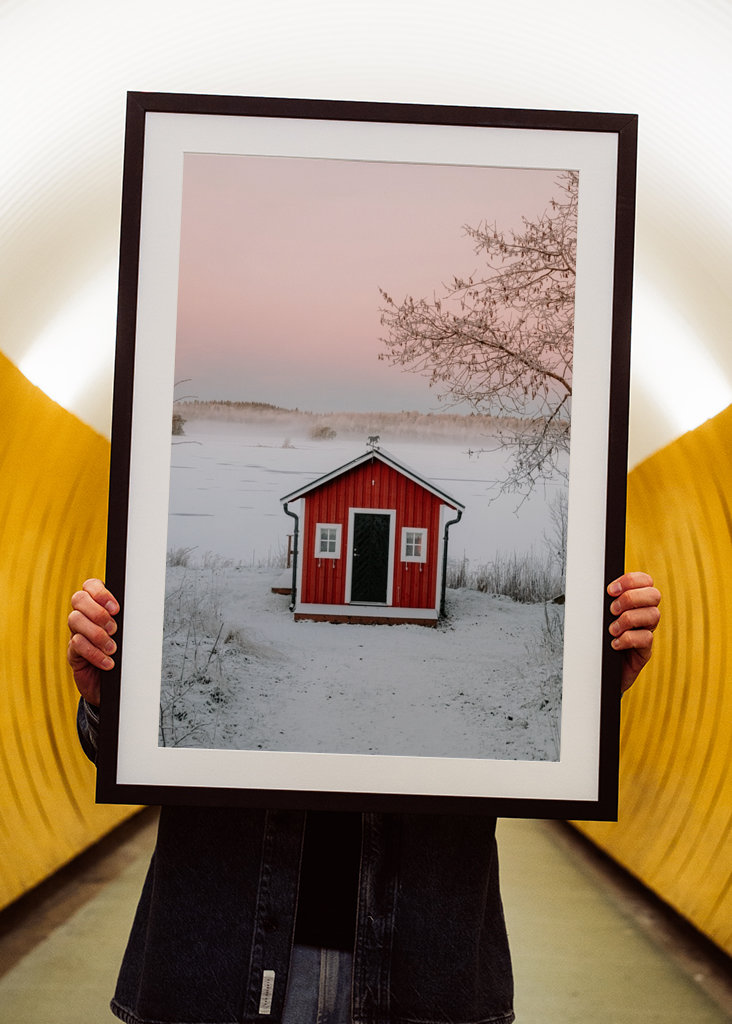 Červená loděnice v zimní krajině