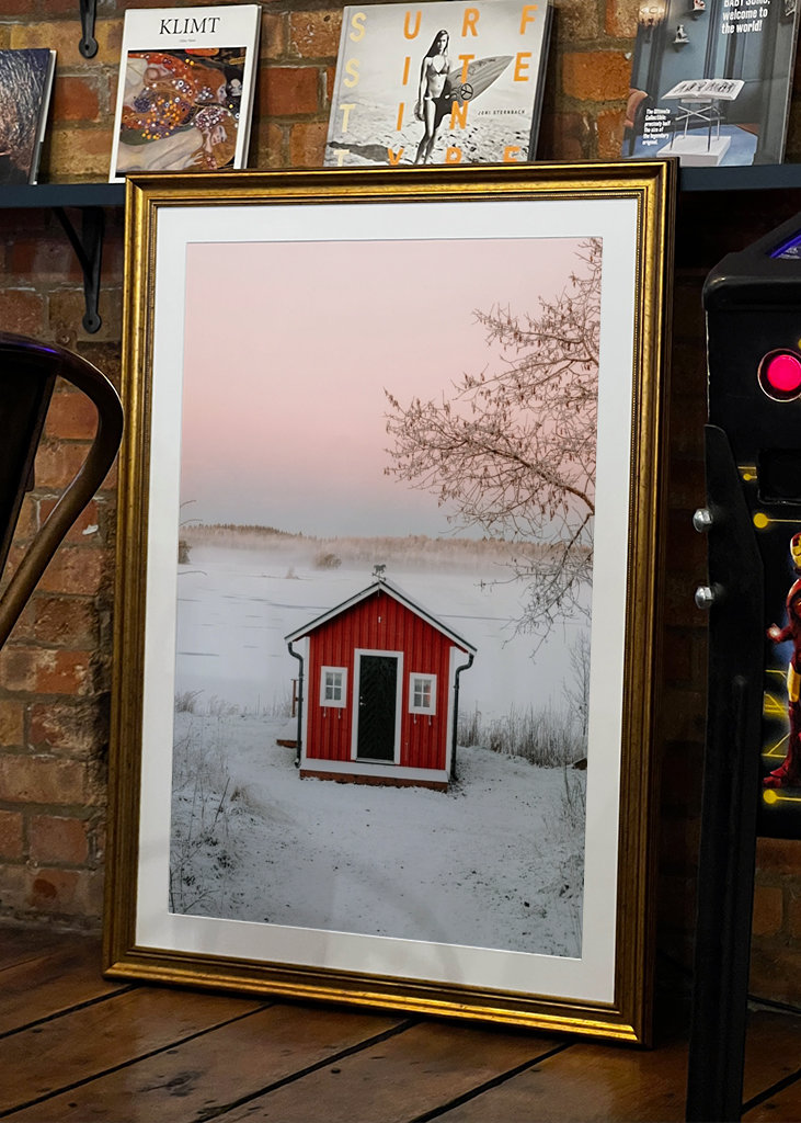 Červená loděnice v zimní krajině