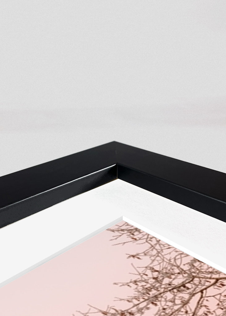 Červená loděnice v zimní krajině