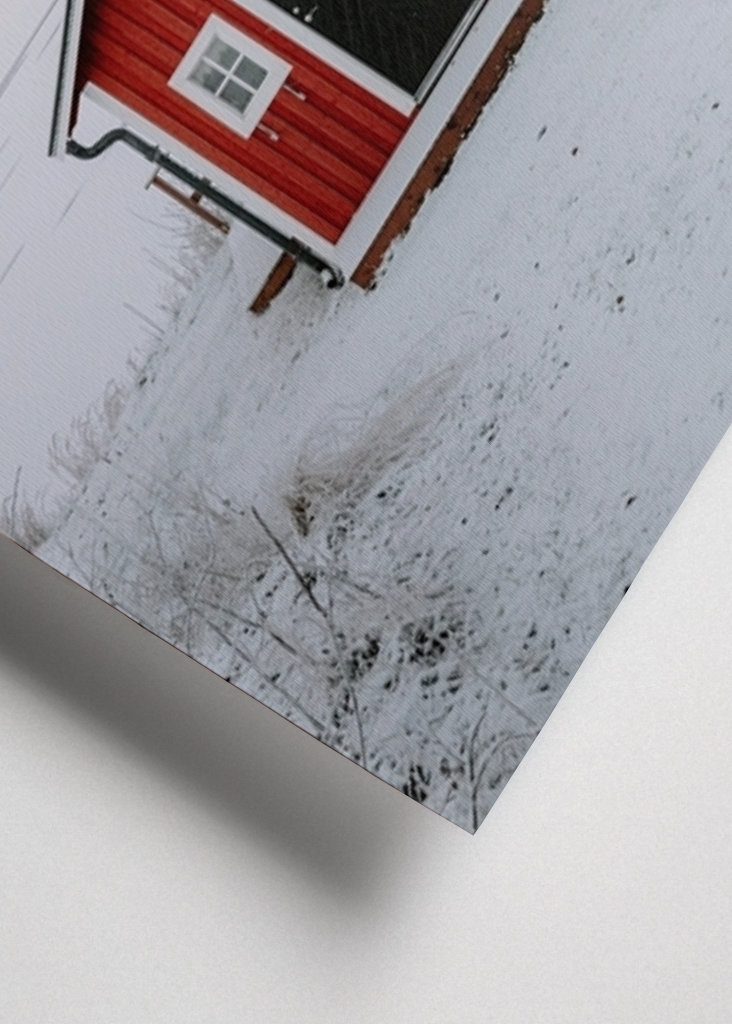 Červená loděnice v zimní krajině