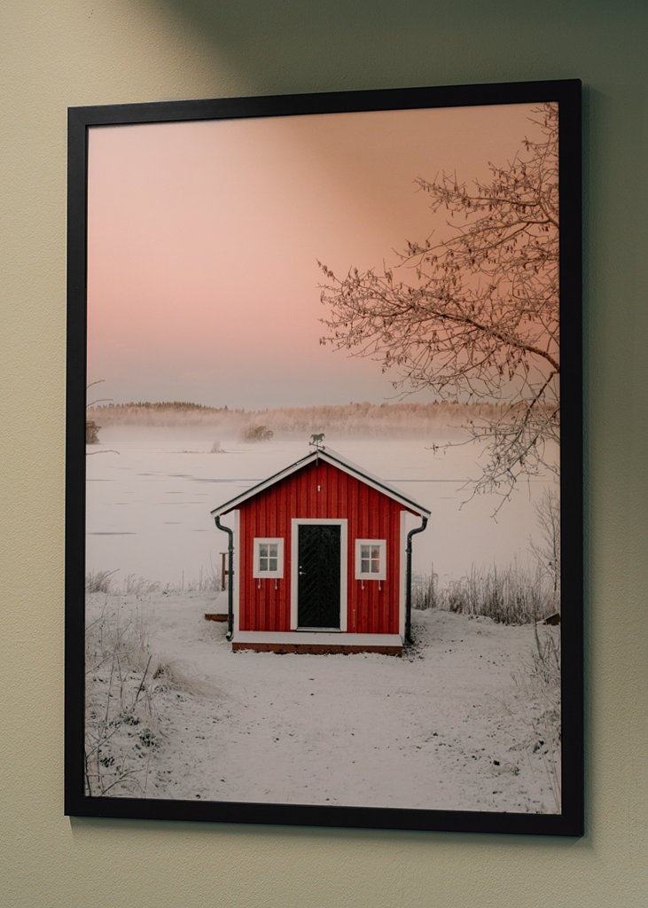 Červená loděnice v zimní krajině