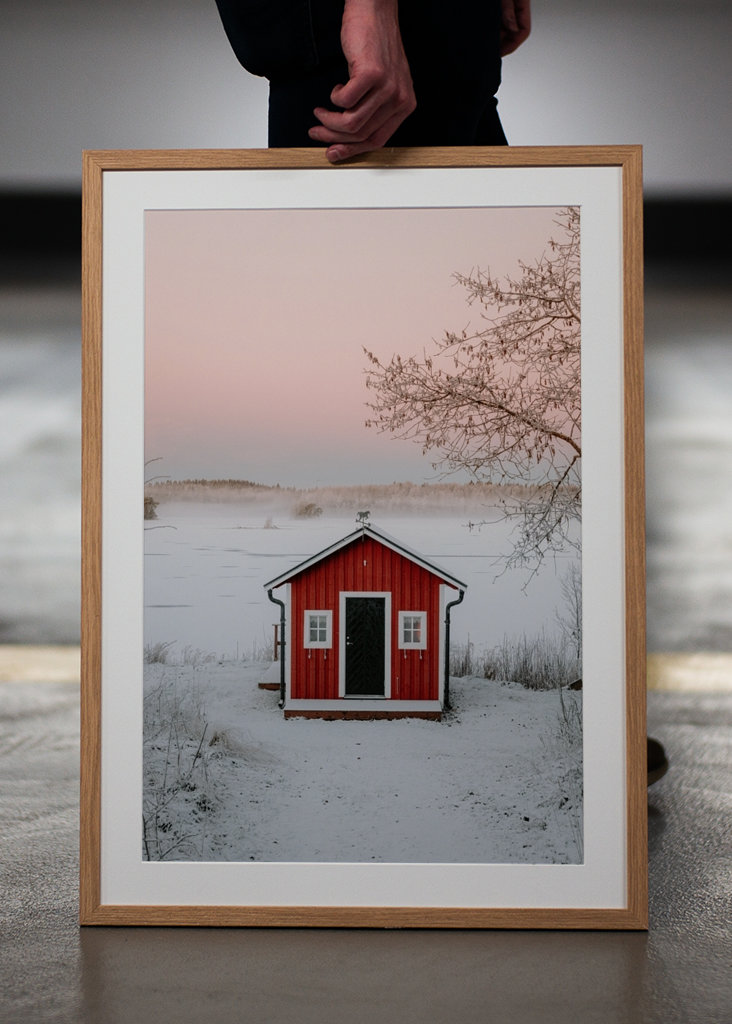 Červená loděnice v zimní krajině