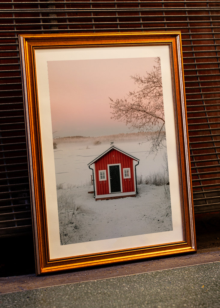 Červená loděnice v zimní krajině