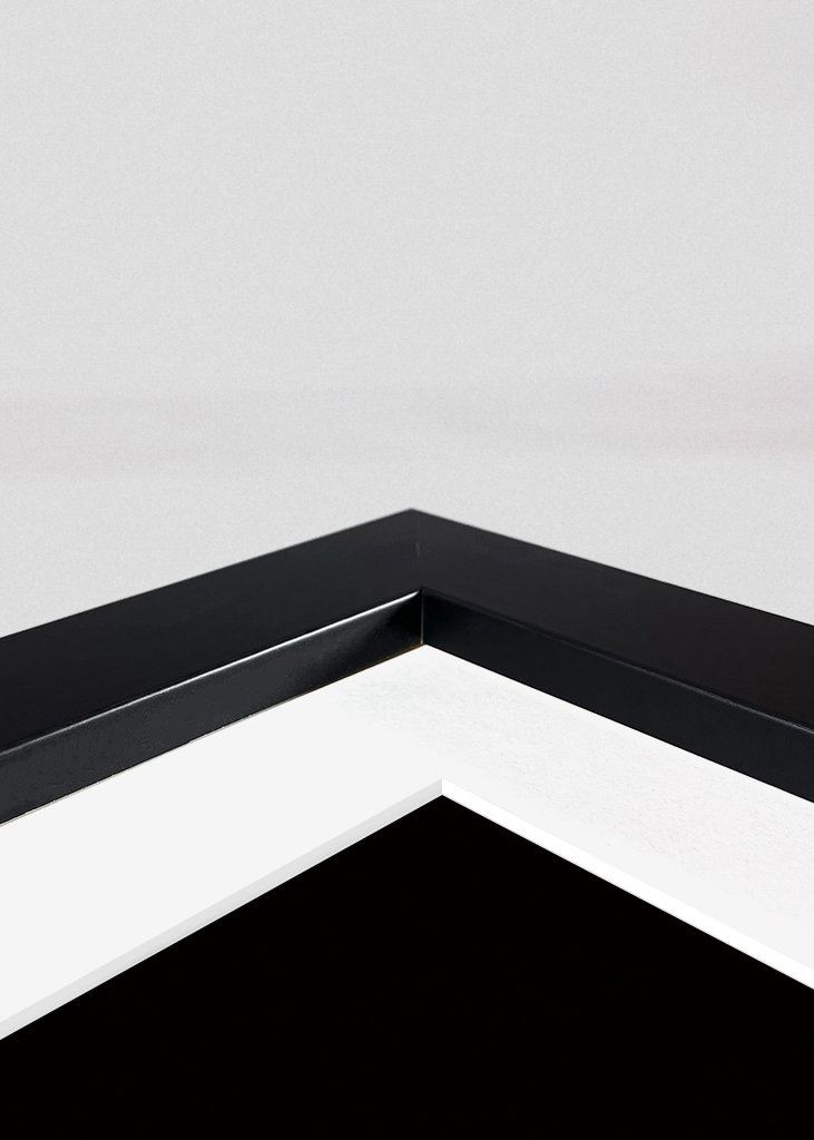 Assassin's Creed Shadows