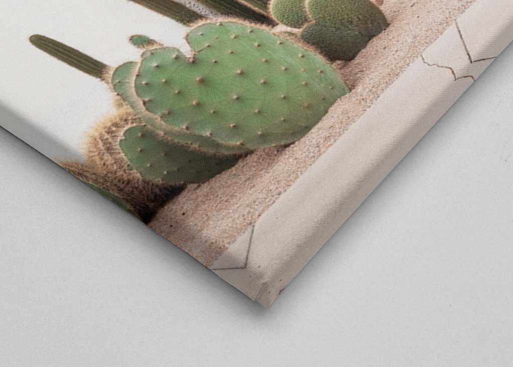 Hvidhedsdør fra midten af århundredet