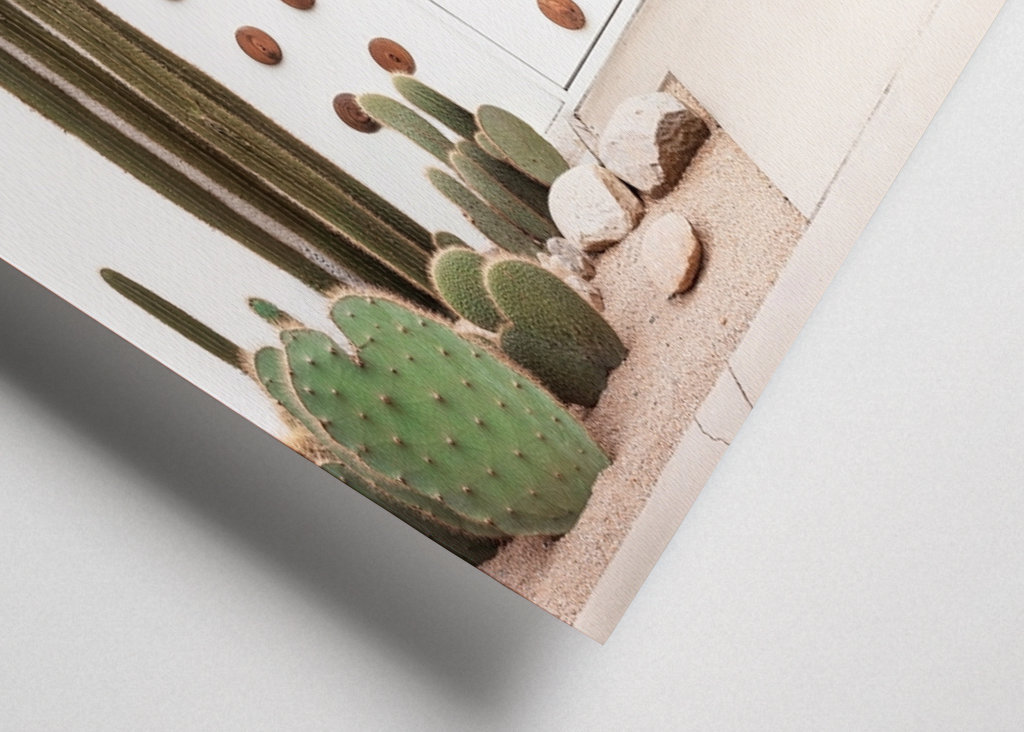 Hvidhedsdør fra midten af århundredet