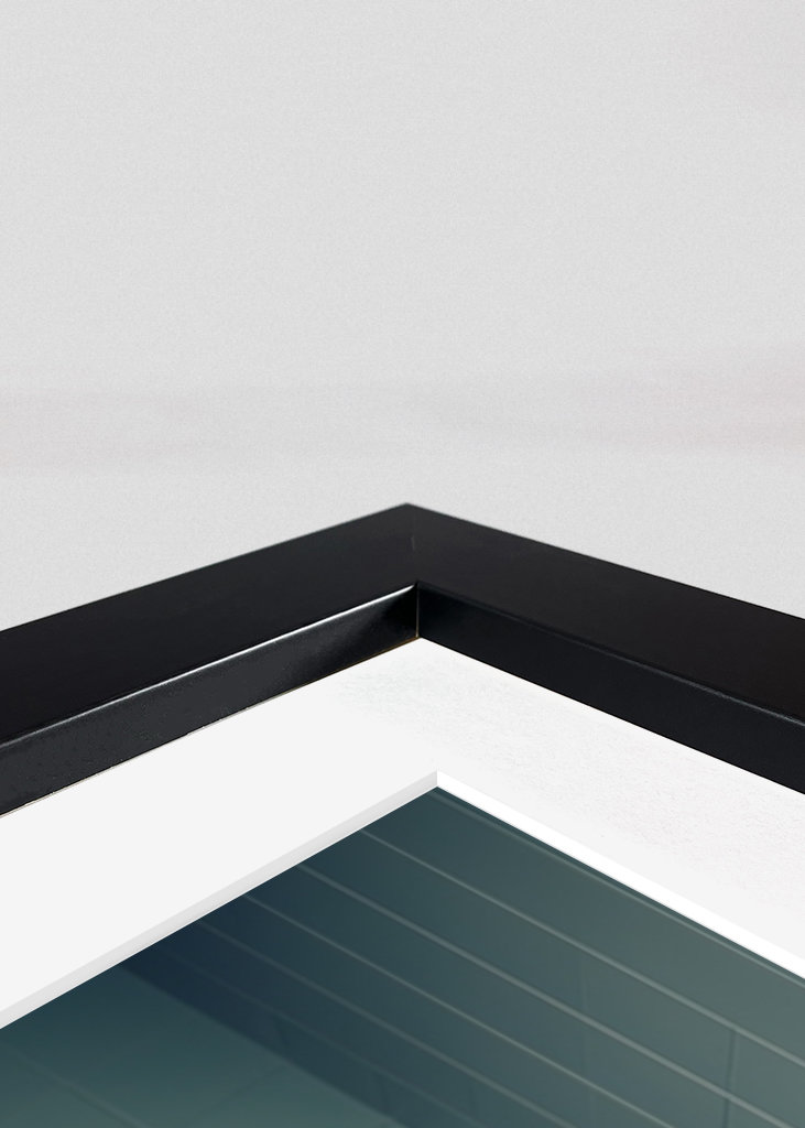 Boxerhund på toalettet