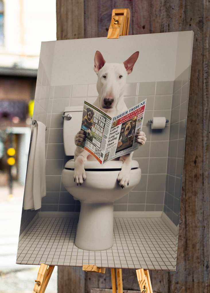 Angol bullterrier a WC-n