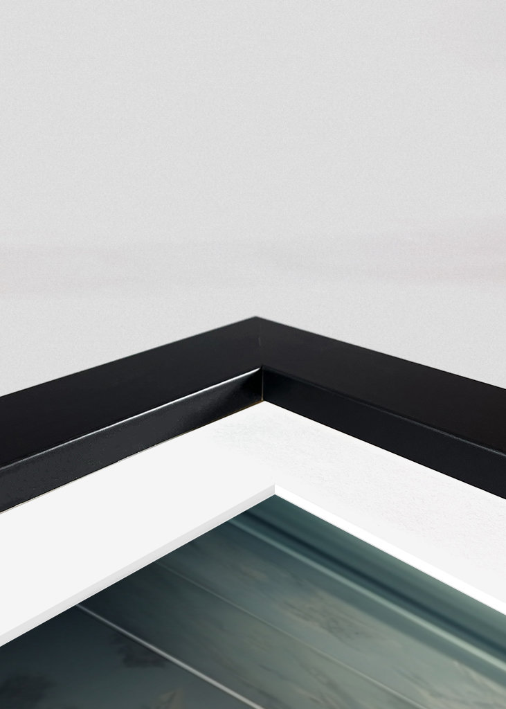 Schimpanse auf der Toilette