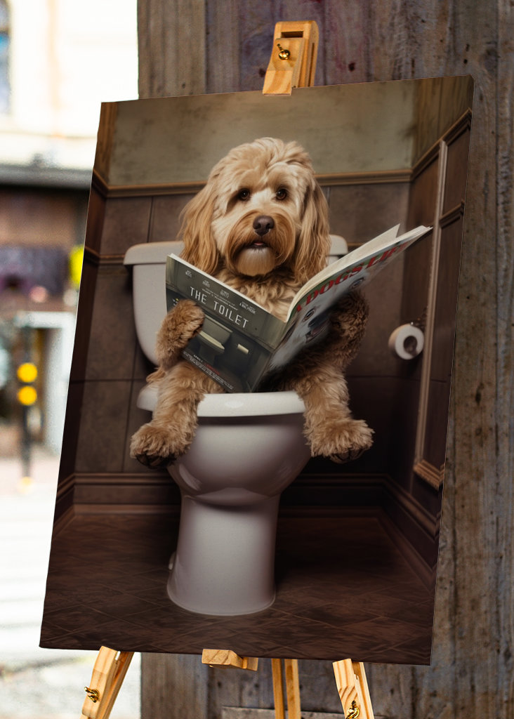 Cockapoo sul gabinetto