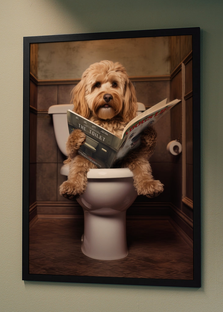 Cockapoo sul gabinetto