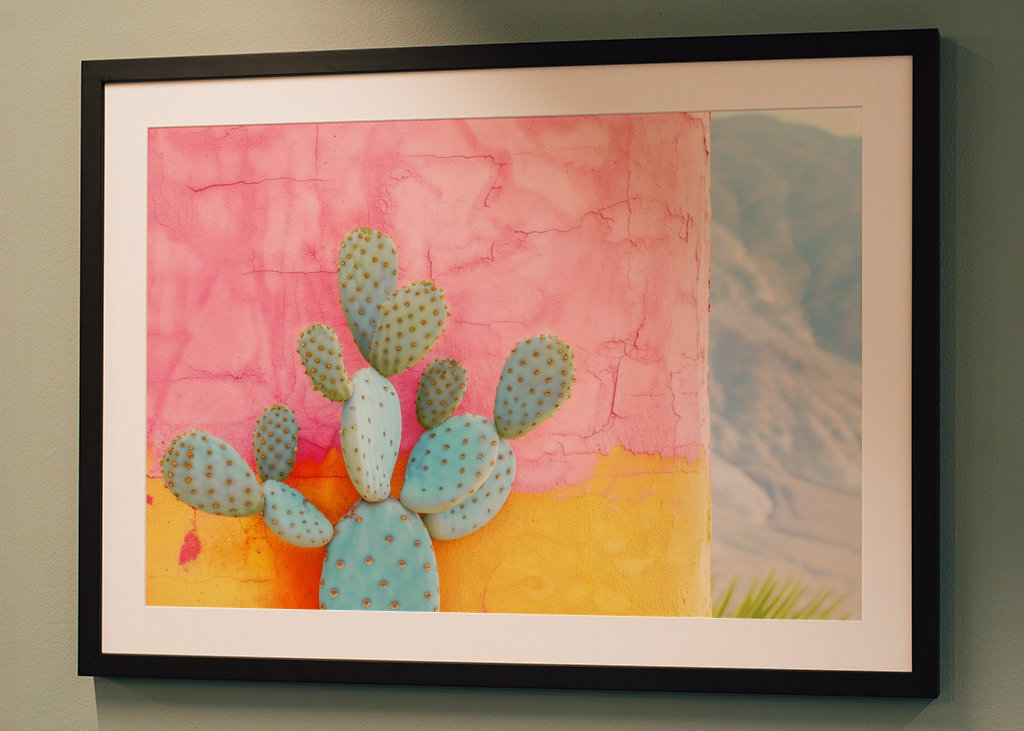 Kaktus Colorwall II