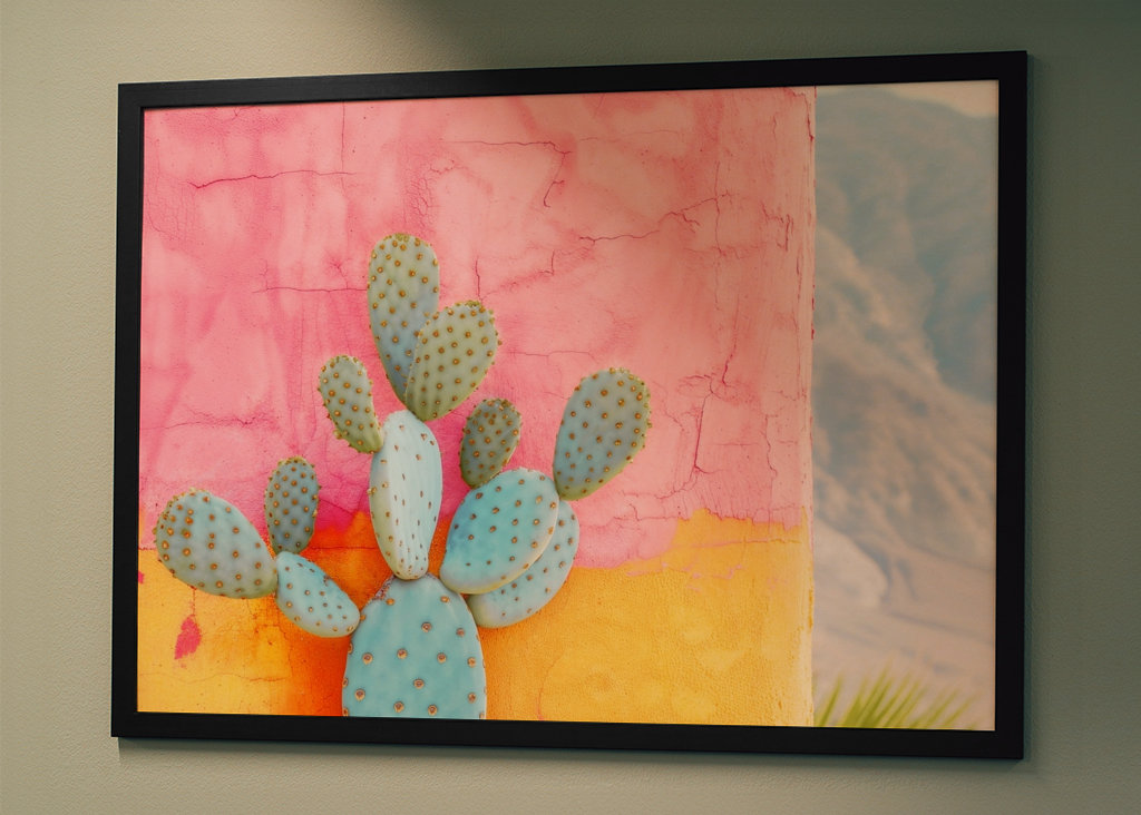 Kaktus Colorwall II