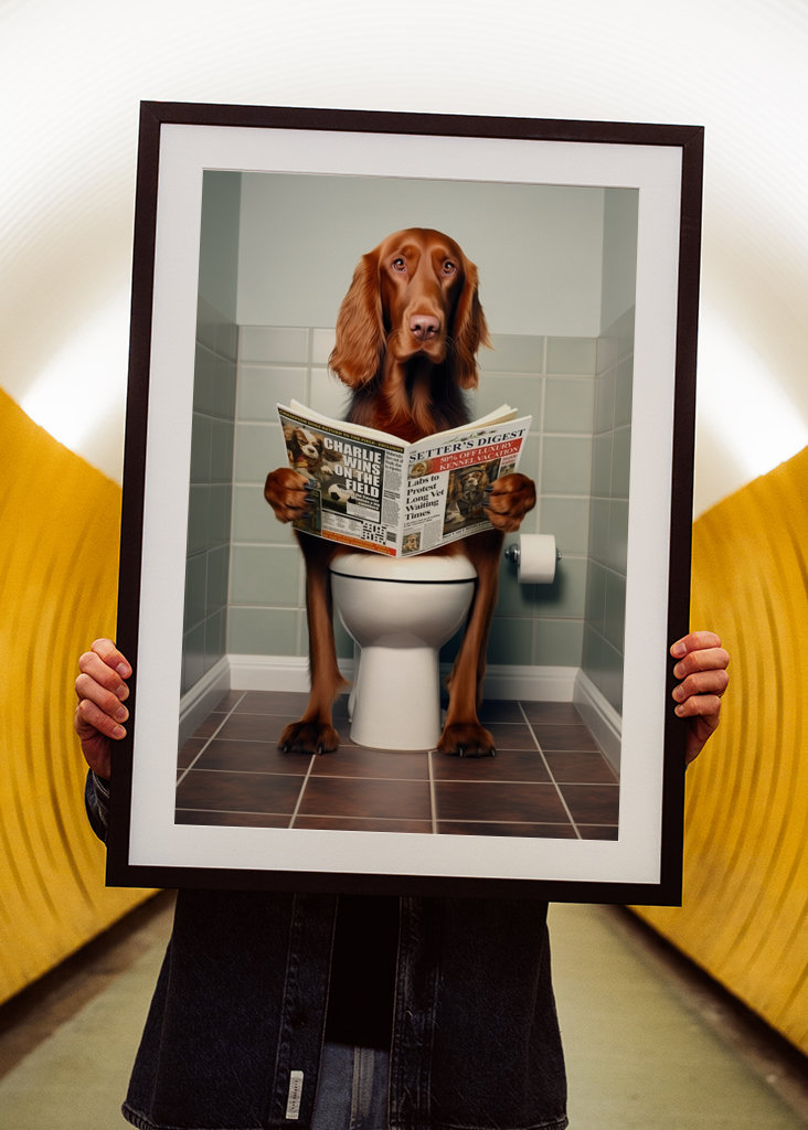 Irish Setter on the Toilet