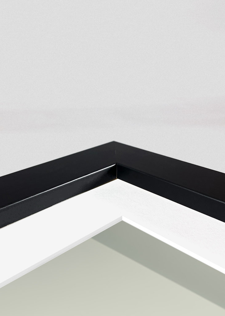 Irish Setter on the Toilet