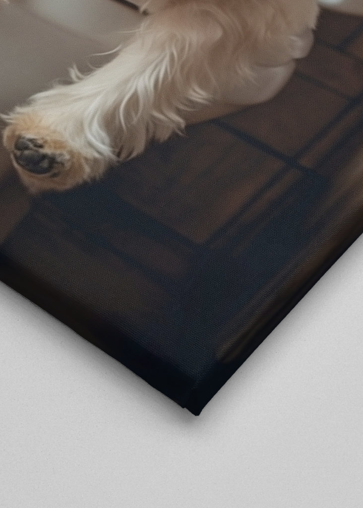 West Highland Terrier toalett