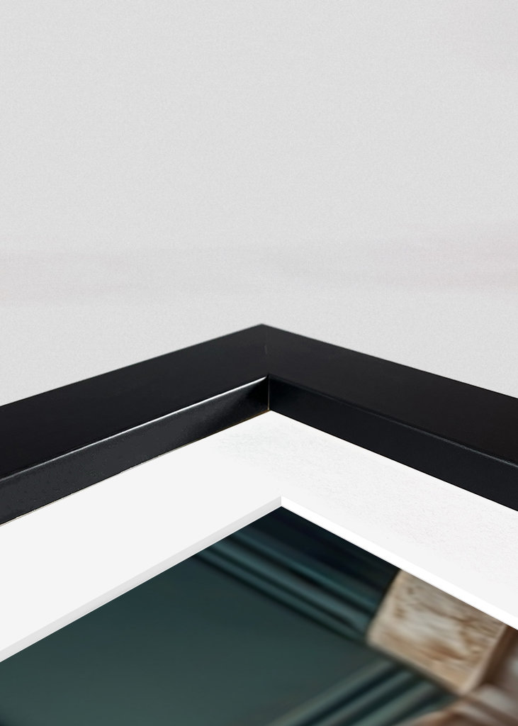 West Highland Terrier toalett