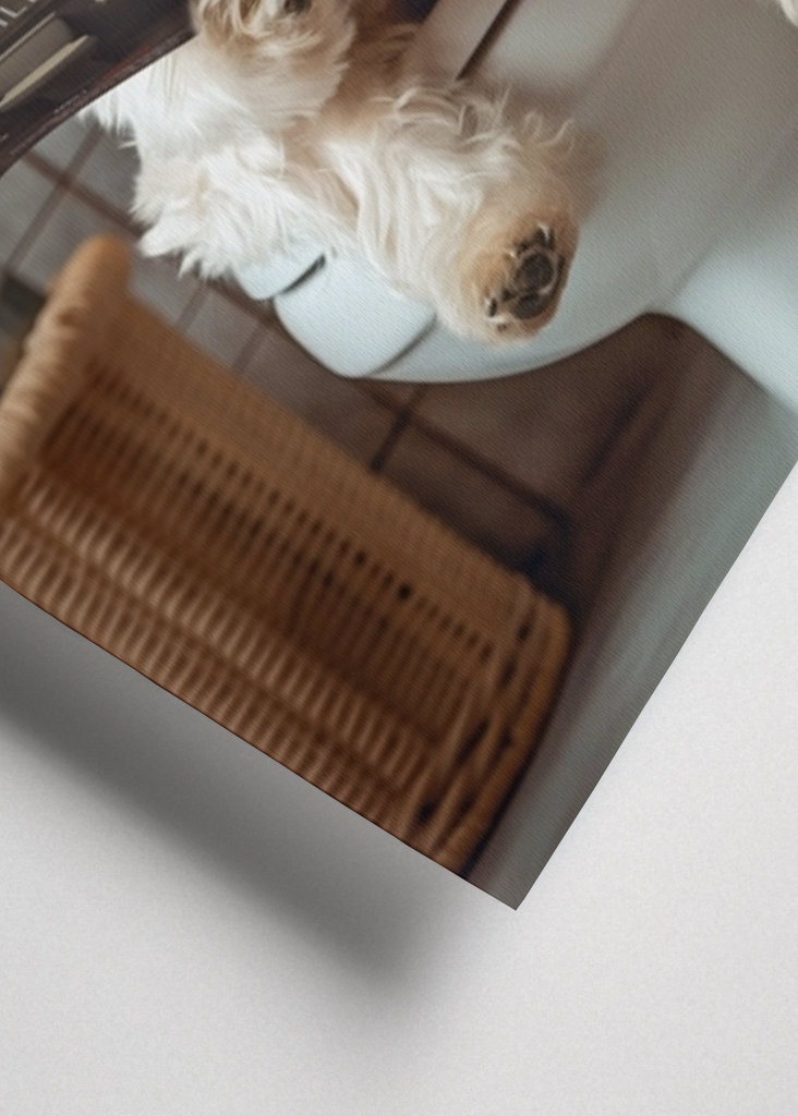 West Highland Terrier toalett