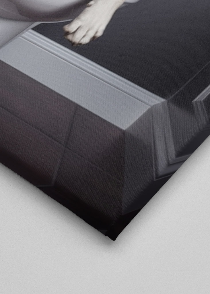 White Labrador on the Toilet