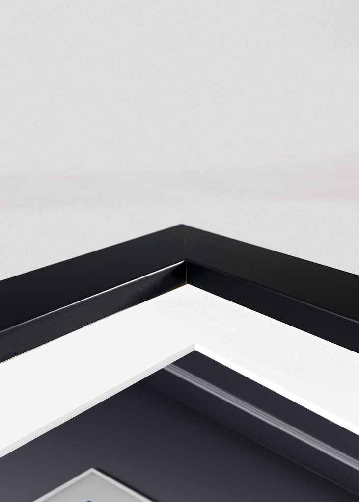 White Labrador on the Toilet