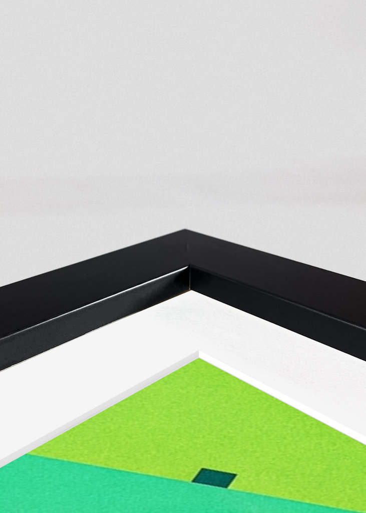 Arnold Schwarzenegger