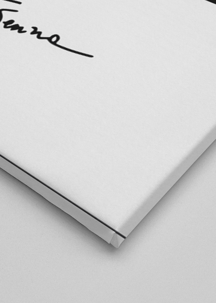 Ayrton Senna F1 1 MP44 