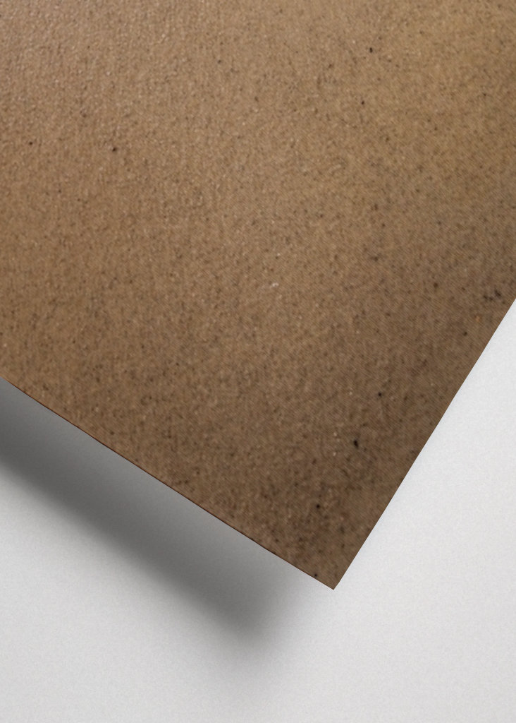 Bølge møder strand