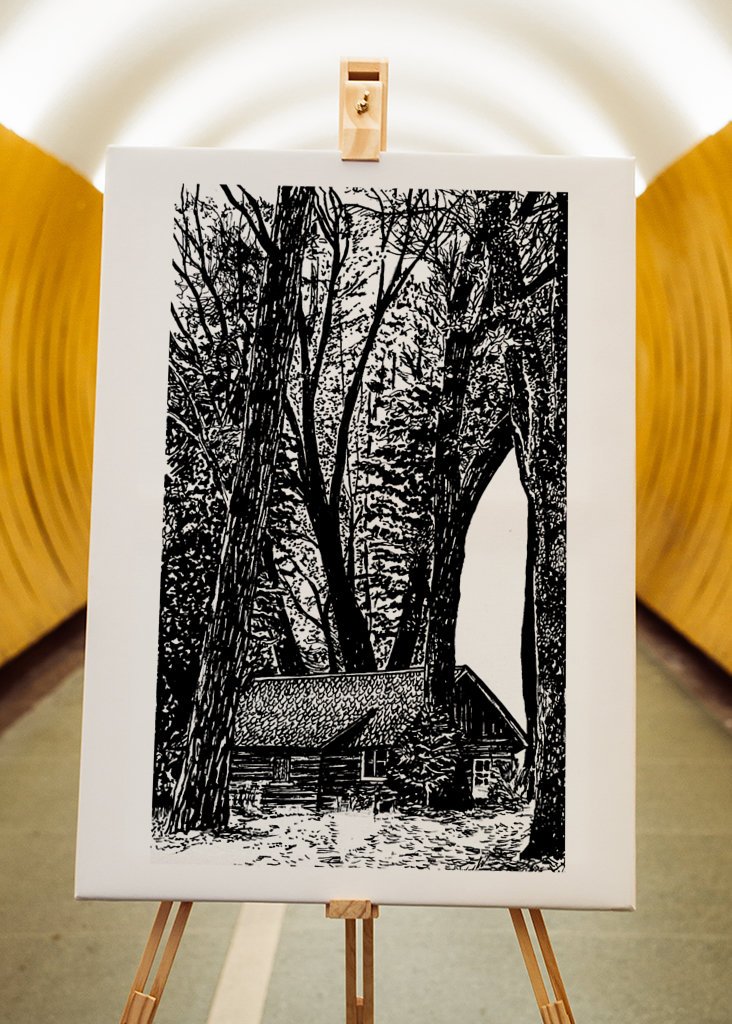 A Glimpse of Tranquility