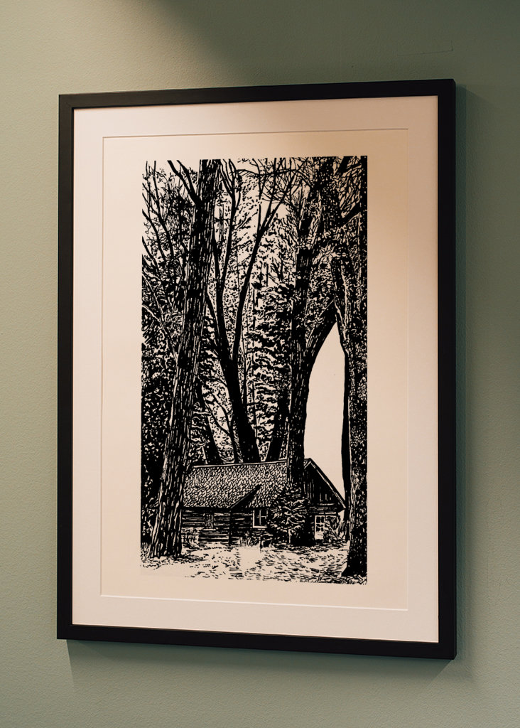 A Glimpse of Tranquility