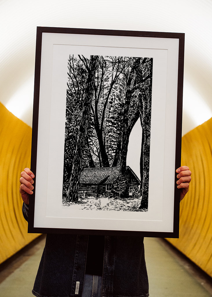 A Glimpse of Tranquility