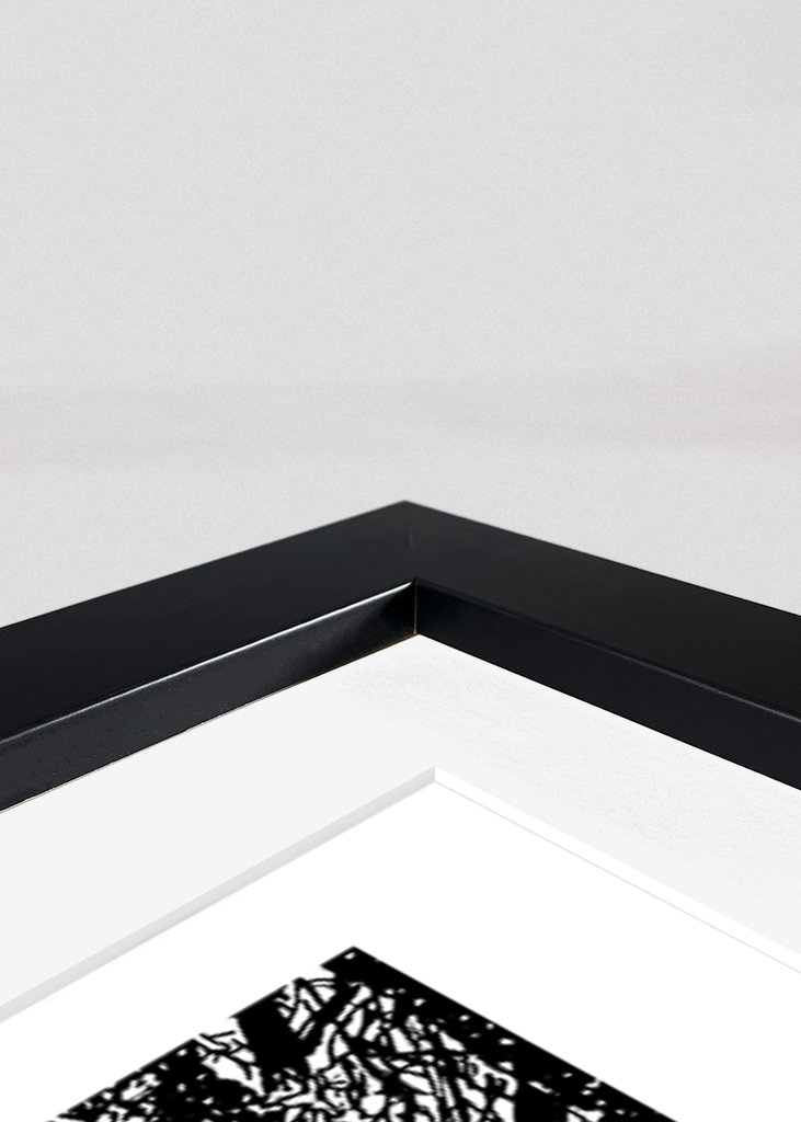 A Glimpse of Tranquility