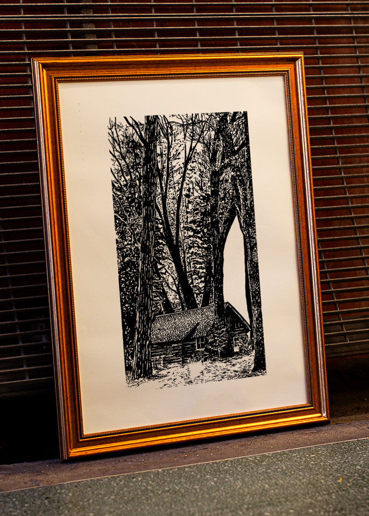 A Glimpse of Tranquility