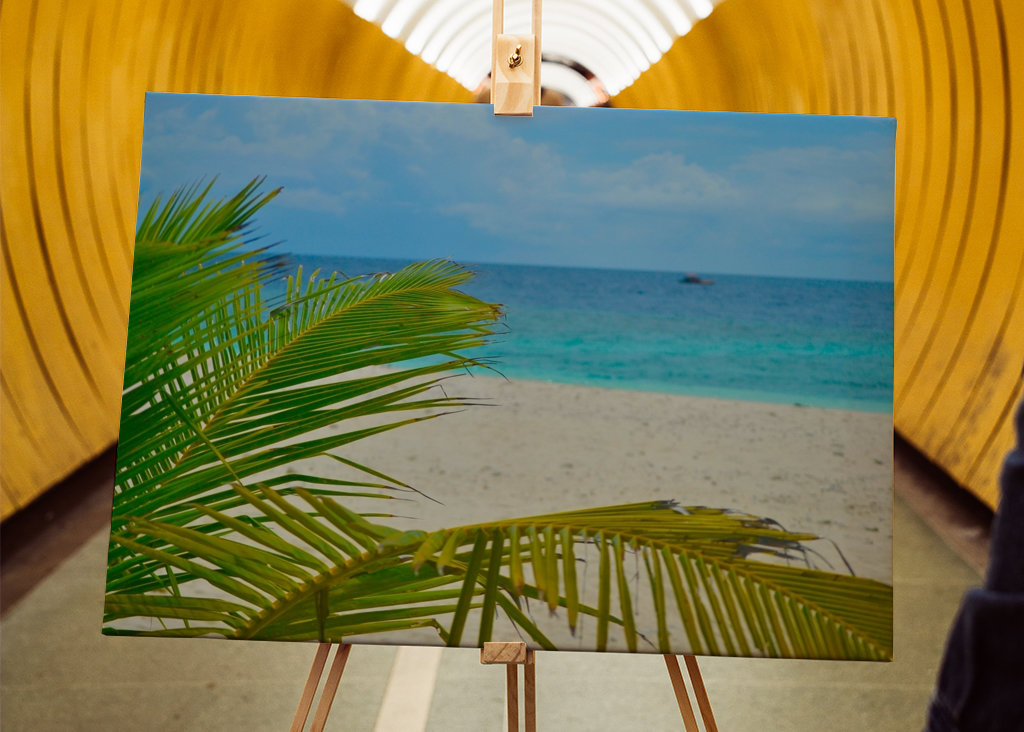 Palm tree with oceanview