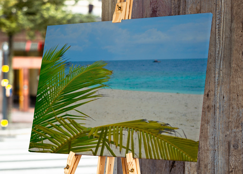 Palm tree with oceanview