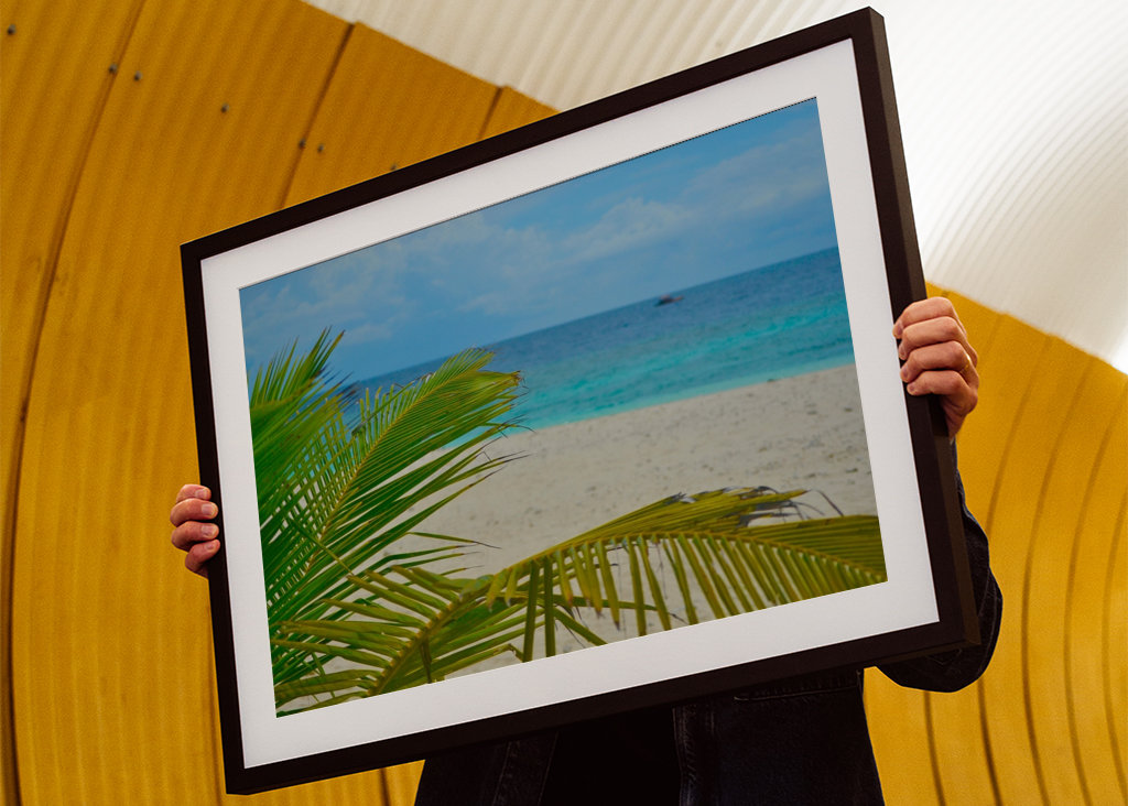 Palm tree with oceanview